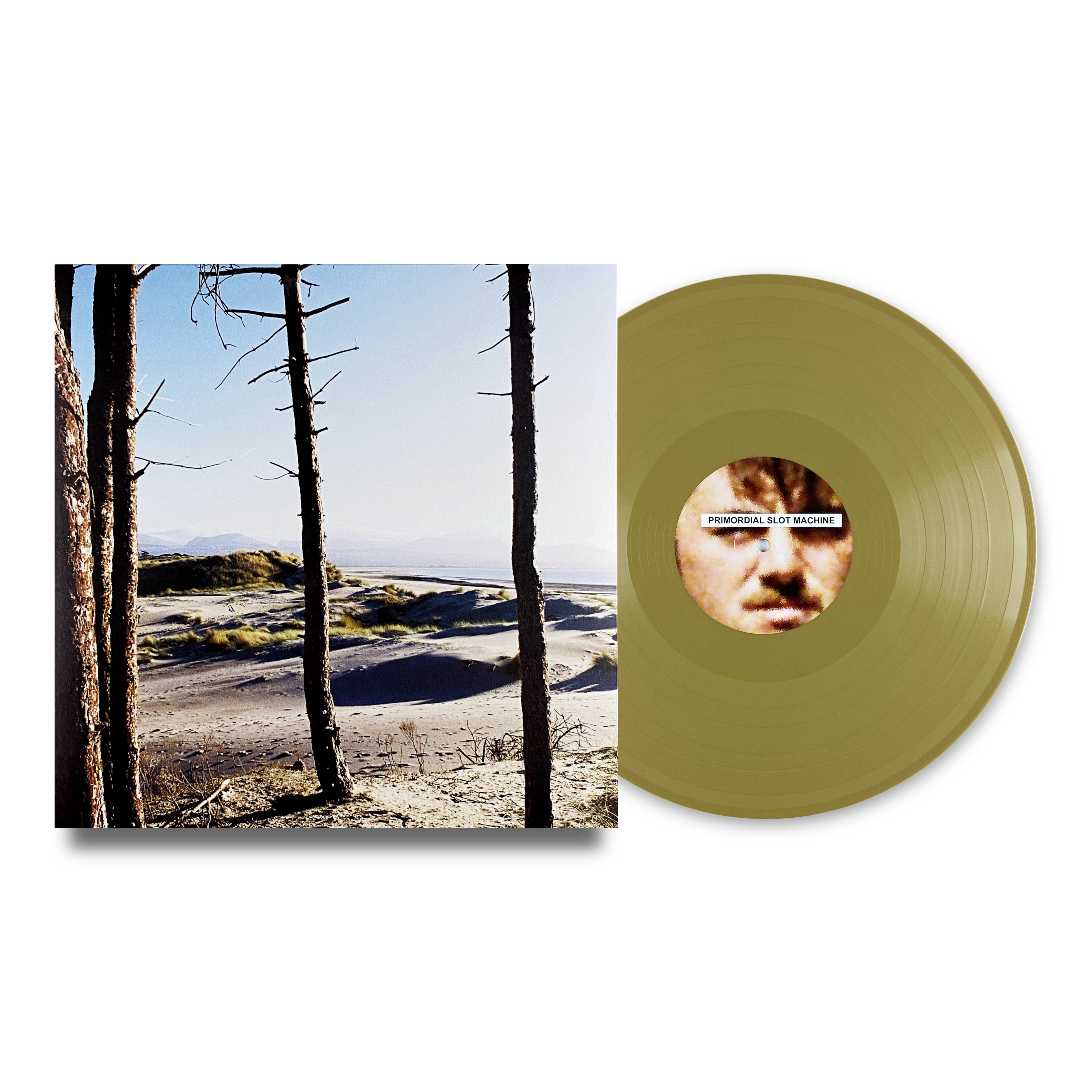 Your Medal's In The Post / Primordial Slot Machine