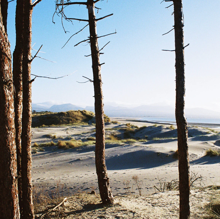 Your Medal's In The Post / Primordial Slot Machine